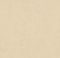 333858 Barbados Click Marmoleum 